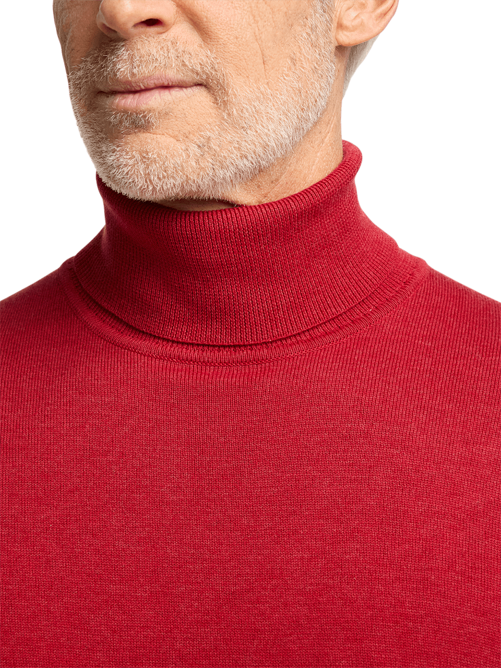 Alternate Image of Supima Cotton Turtleneck-2