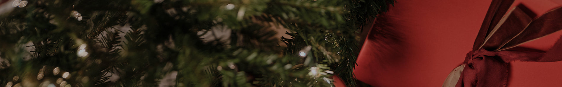 The Members-Only Holiday Preview