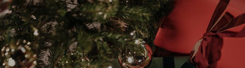 The Members-Only Holiday Preview